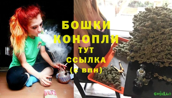 гашик Балахна