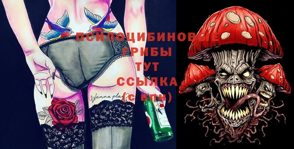 гашик Балахна