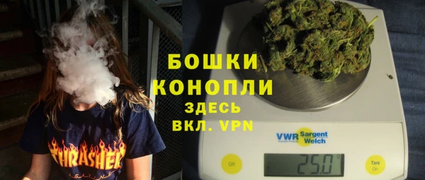 гашик Балахна